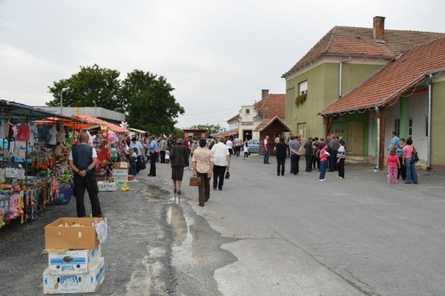 Miholje 2012